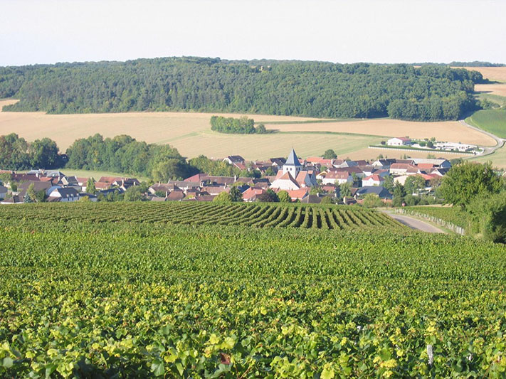 Notre savoir-faire Avirey-Lingey