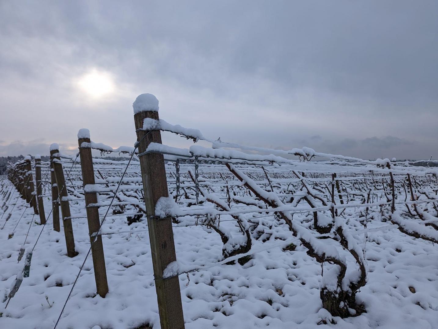 Notre savoir-faire Avirey-Lingey